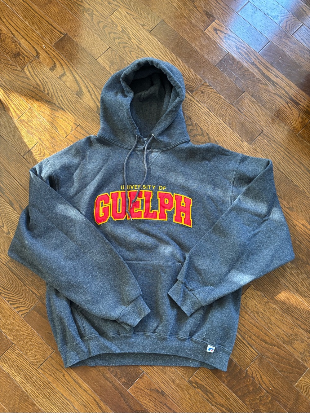 University ofRussell Athletic Charcoal Hoodie
